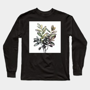 Adorable ZZ Plant Drawing Illustration Long Sleeve T-Shirt